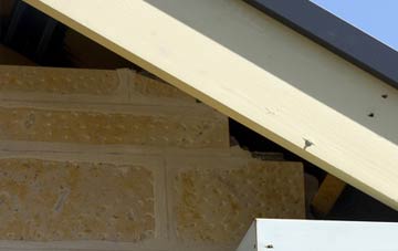 soffit repair Scartho